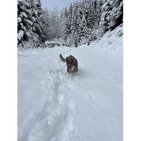 Σπίτι διακοπών Dream View Simonhoehe *