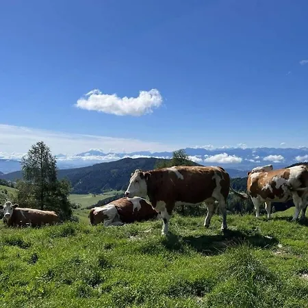 Σπίτι διακοπών Dream View Simonhoehe Zirkitz