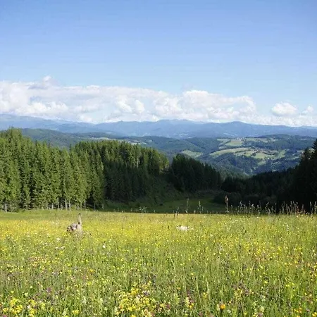 Dream View Simonhoehe *