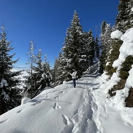 Dream View Simonhoehe Σπίτι διακοπών *