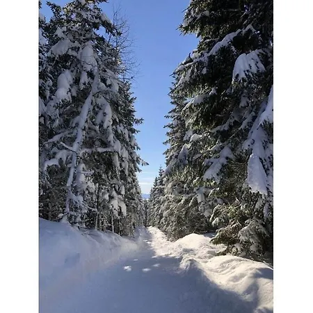 Σπίτι διακοπών Dream View Simonhoehe *