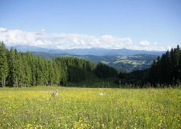 Dream View Simonhoehe *