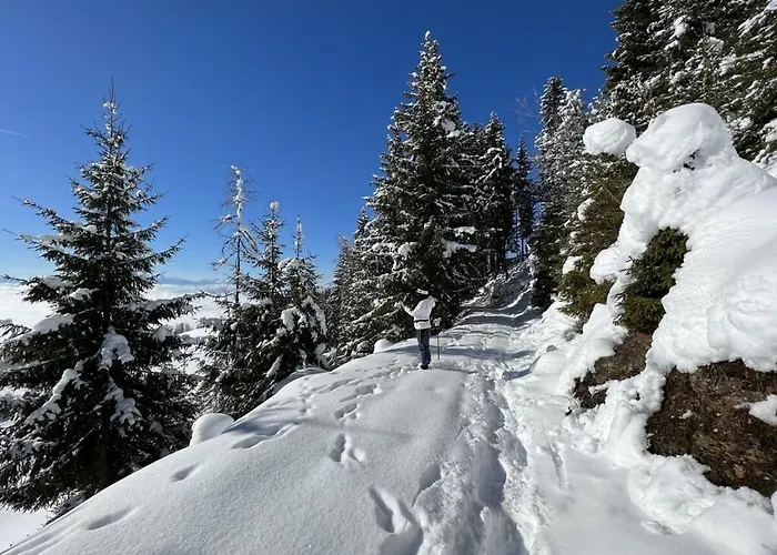 Dream View Simonhoehe Vakantiehuis *