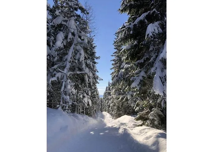 Vakantiehuis Dream View Simonhoehe *